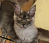 ���i�C���[�W