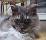 ���i�C���[�W