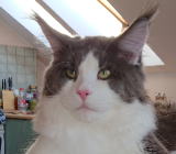 ���i�C���[�W